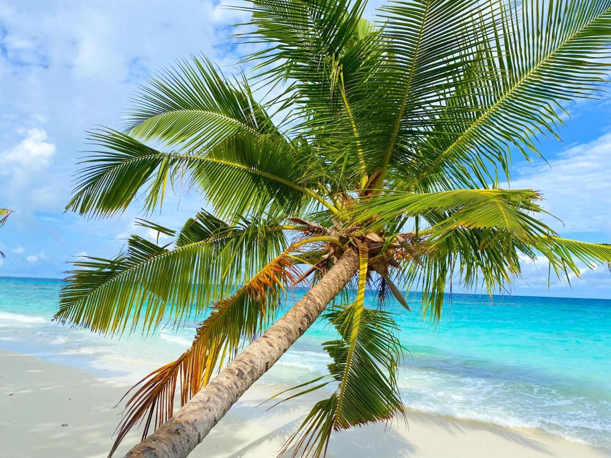 Tme Retreats Dhigurah Hotel Дхигура Екстериор снимка